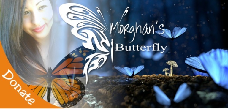 Morghans Butterfly Morghans Butterfly